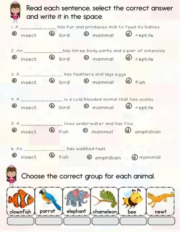 Animal groups