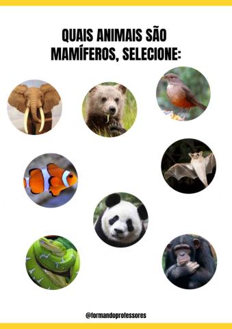 Classificação de animais