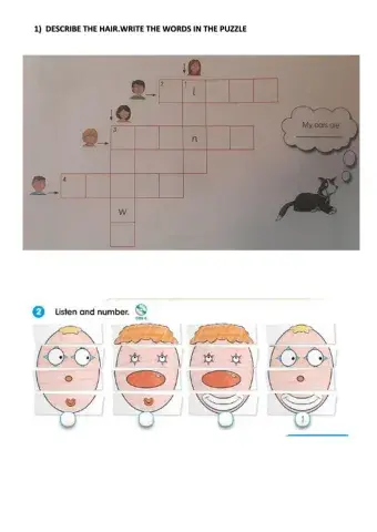 Describing face and hair