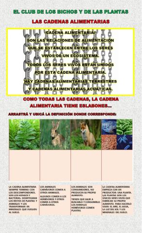 Cadenas alimentarias