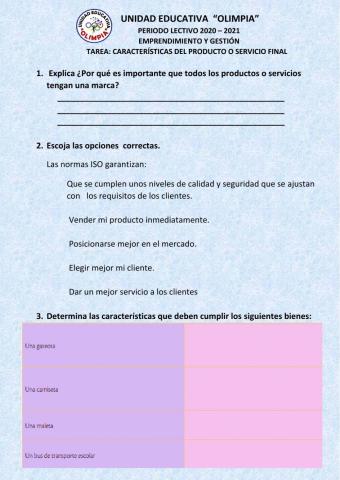 Características del producto o servicio final