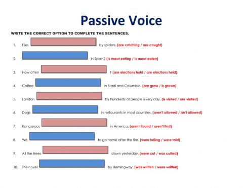 Passive Voice Practice