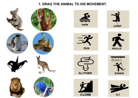 How do these animals move? 2