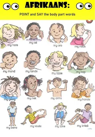 WEEK 22: TUESDAY: Body Parts