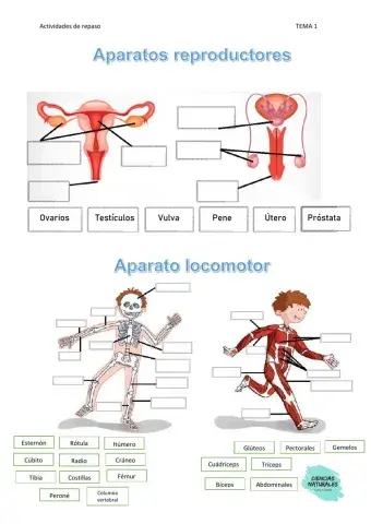 Actividades de estudio