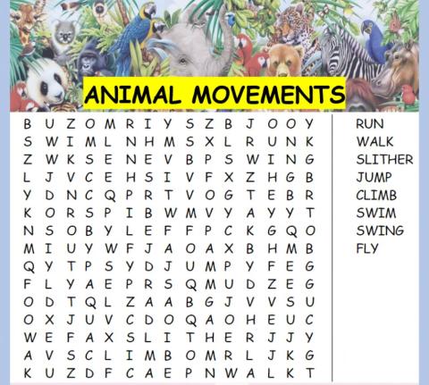 Find the animal movements