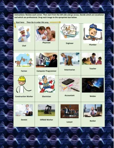 Careers - Professional or Vocational