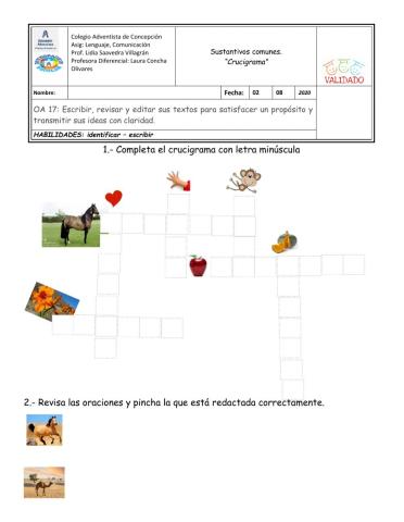 Crucigrama de sustantivos comunes 