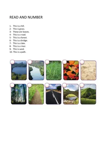 Features of a Nature Trail