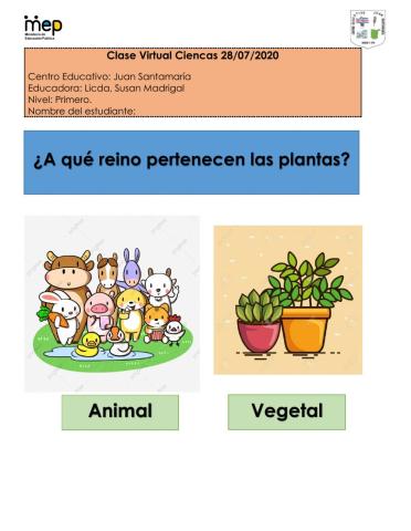 Las plantas
