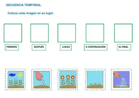 Crecimiento de las plantas