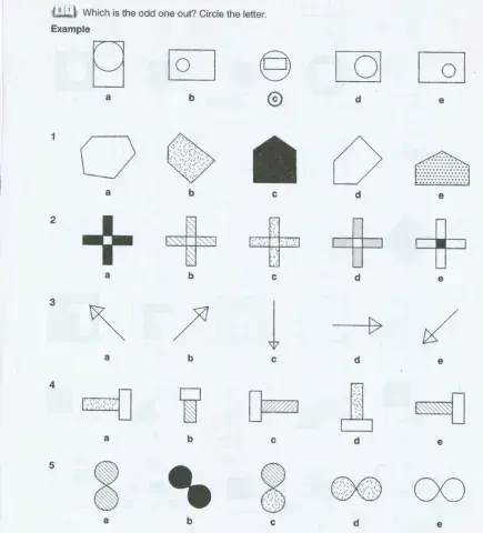Non verbal reasoning