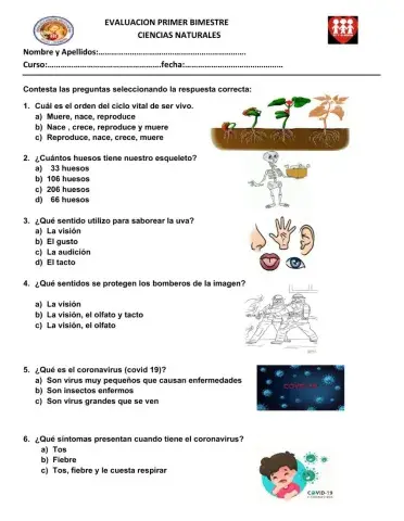 Evaluación Ciencias Naturales