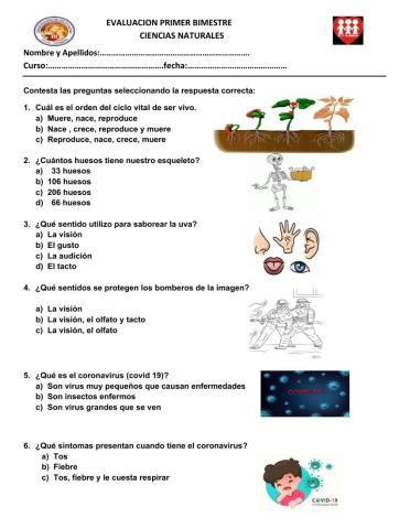 Evaluación Ciencias Naturales