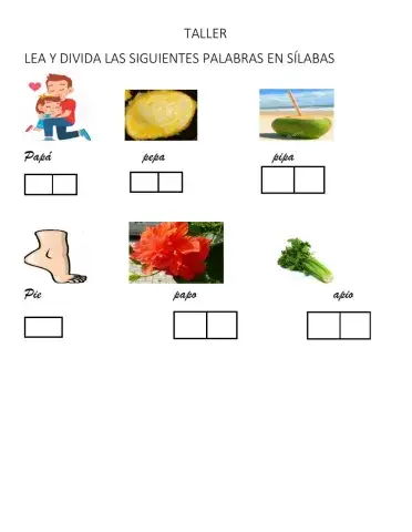 DIVIDIR PALABRAS EN SÍLABAS(FONEMA P)