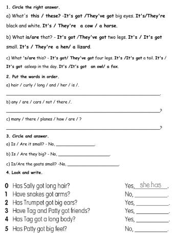 Dz 2 summer exam revision 2