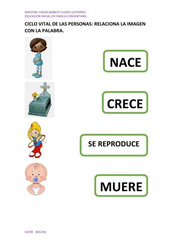 Ciclo vital de las personas