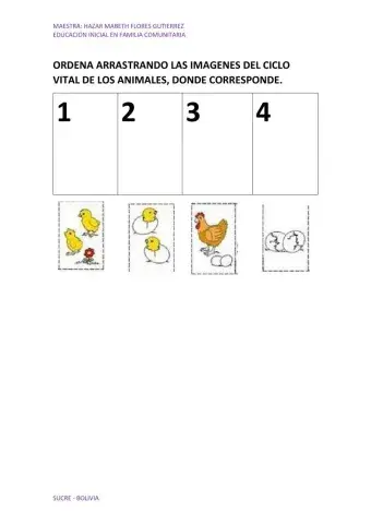 Ciclo vital de los animales
