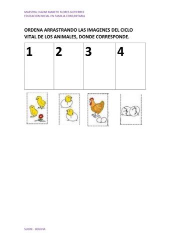 Ciclo vital de los animales