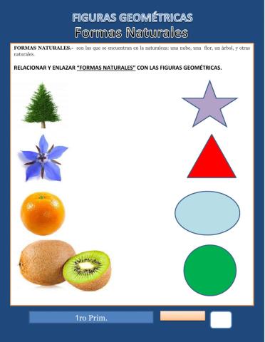 Figuras geométricas
