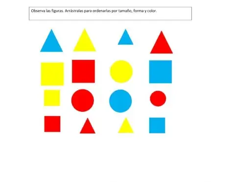 Juguemos a clasificar (por tamaño, forma y color)