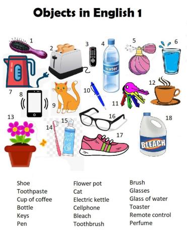 Objects in English 1