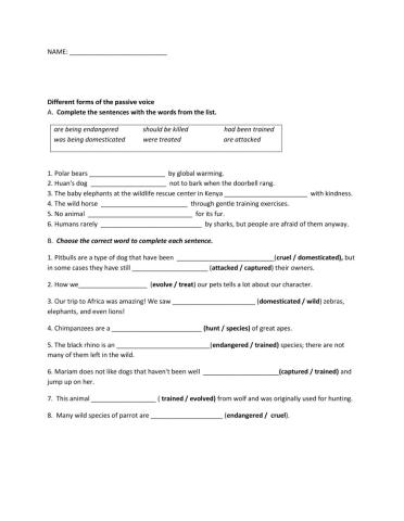 Level 10-Unit 9-QUIZ