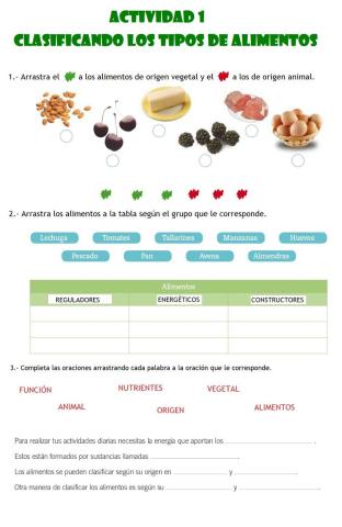 Actividad 1: Clasificar tipos de alimentos