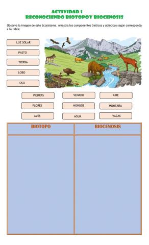 Actividad 1: Clasificar Biótico y abiótico
