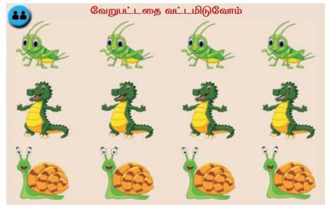 Tamil- வேறுபட்டதை வட்டமிடுவோம்