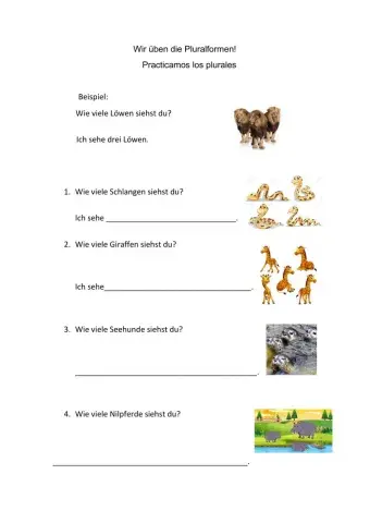 Ficha 2. Klasse Plural