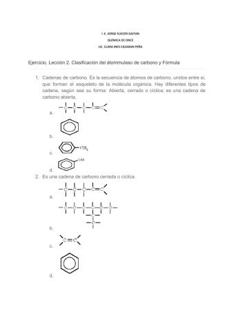 Ejercicio. Lección 2. Clasificación del átomo de carbono y Fórmula