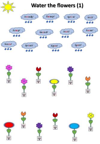 Pronunciation, Transcription