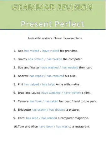 Choose the correct Conjugation