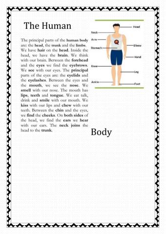 The body