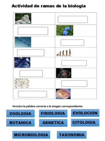 Introducción a la biología