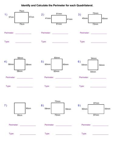 Perimeter of squares and rectangles