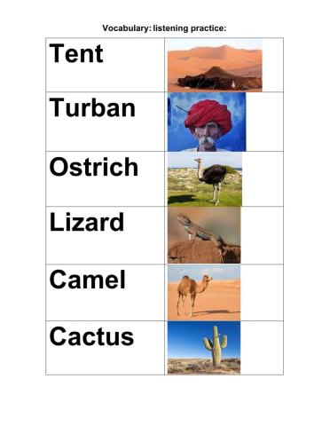 Vocabulary desert