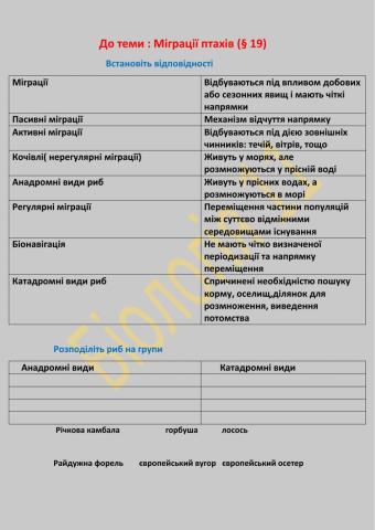 Міграції тварин