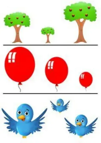 Diferencia, entre grande, mediano y pequeño