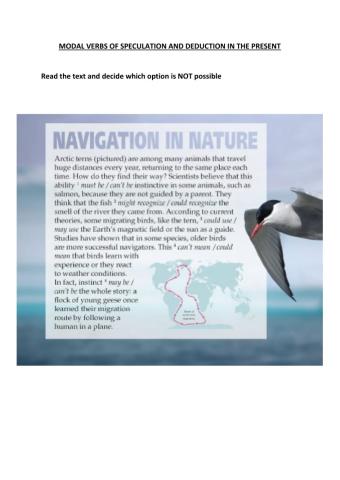 Navigation and Nature