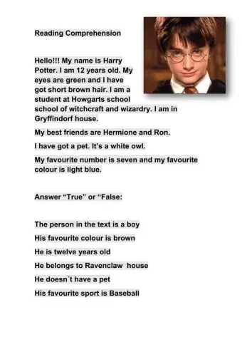 Harry Potter Description