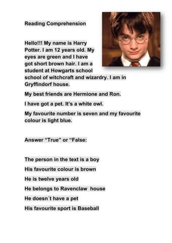 Harry Potter Description