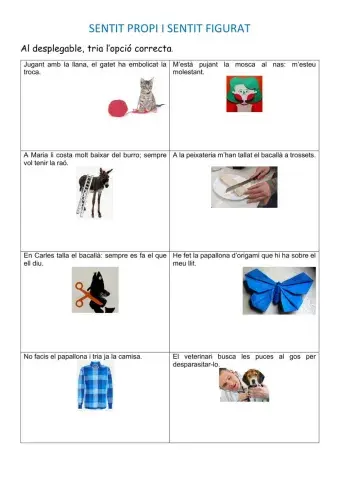 Sentit propi i sentit figurat