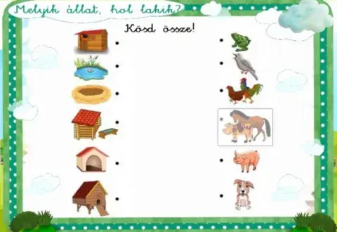 Háziállatok lakóhelye 1. osztály