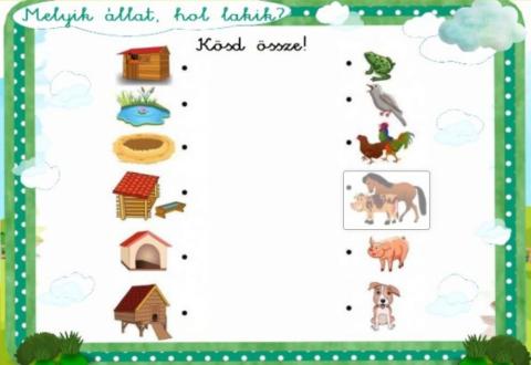 Háziállatok lakóhelye 1. osztály