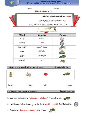 WorkSheet 1 Unit  7  T1 G6