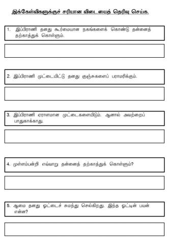 பிராணிகள்