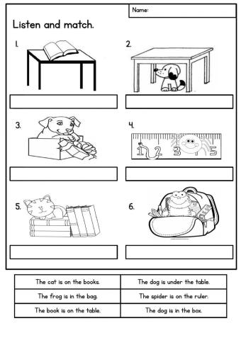 Unit 3: pet show year 1