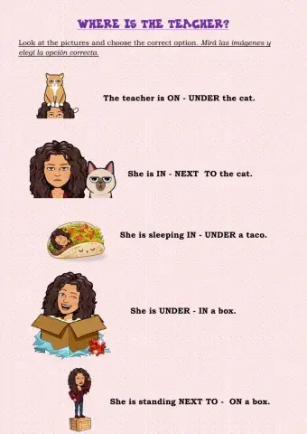 Where is the teacher?